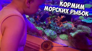 Кормим морских рыбок с сыном) | Морской аквариум
