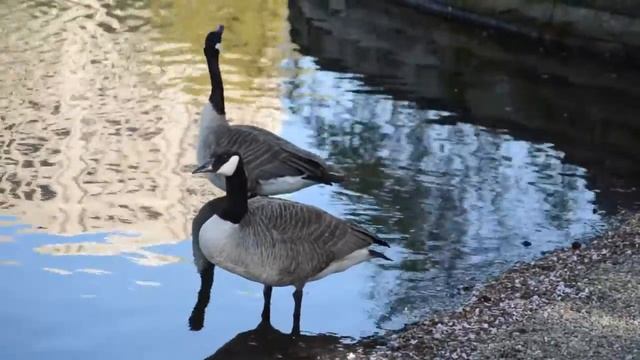 natures spring смотреть онлайн