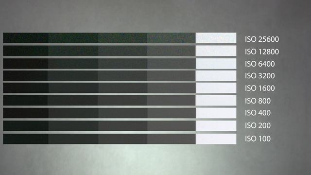 Unpacking the Nikon Z8 for video: Is it right for you? смотреть онлайн