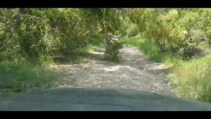 Jeep grand cherokee wk2 Offroad vs Toyota