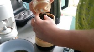 Фукус-бурые водоросли