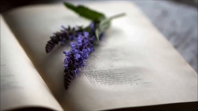 "Все люди,как книги,и мы их читаем..." смотреть онлайн