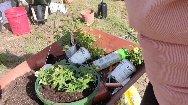 How To Make A Beautiful Hanging Basket смотреть онлайн