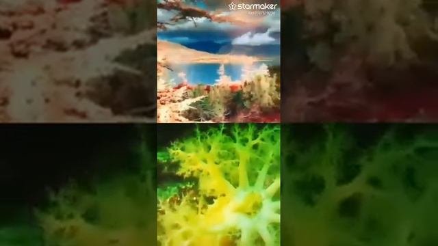 Магадан - Наталья Ветлицкая