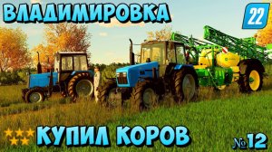 МИР МЕНЯЕТСЯ ВЛАДИМИРОВКА ПОКУПКА КОРОВ#farming #fs22 #фс22