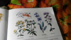 Биология 5 кл § 17 (Автор В.В.Пасечник) Разнообразие, распространение, значение растений