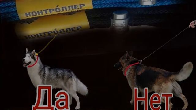Поводок контроллер для собак своими руками