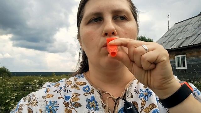 Казу. Как с помощью этого простого инструмента развивать речь у ребенка? смотреть онлайн