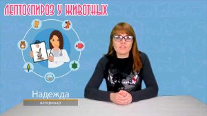 Лептоспироз у домашних животных