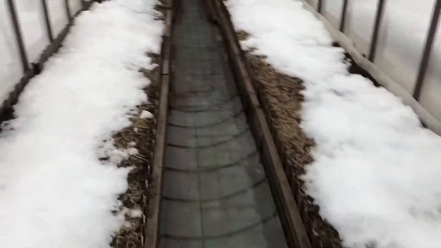 Обзор участка 19 января. Для меня это самая тёплая зима? смотреть онлайн