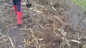 Лопата Fiskars. Отзыв о лопате. Почему не стоит покупать!