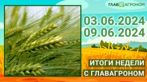 Итоги недели с ГлавАгроном. 03.06.2024 - 09.06.