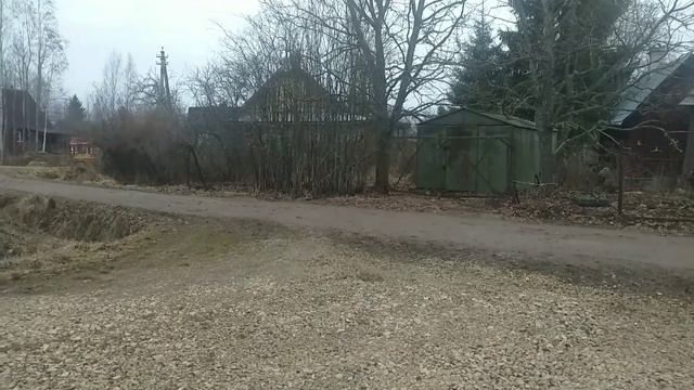 Мшинская и садоводство Каскад 14.04.21г
