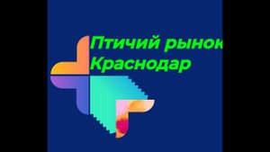 Птичий рынок Краснодар (05.01.2020г.)