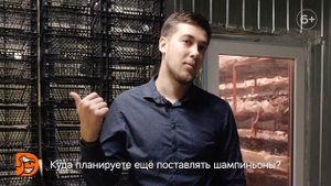 Додо Пицца. Сами выращиваем шампиньоны