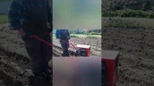 Окучивание мотоблоком с колесами по одной борозде