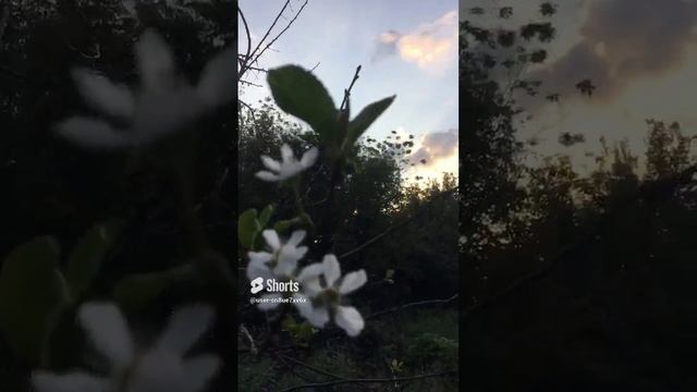 03-09-2023ТРЕТЬЕ СЕНТЯБРЯ