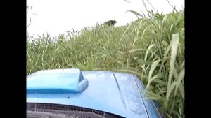 Субару форестер. Дикий форик по бездорожью.