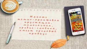 тыква Японская принцесса
