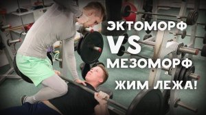 Кто сильнее Эктоморф или Мезоморф?!