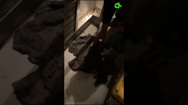 СЕКРЕТЫ БЕЗОПАСНОСТИ И ДОЛГОВЕЧНОСТИ ЛИФТОВ : КАК ОБЕСПЕЧИТЬ БЕЗОПАСНОСТЬ И КОМФОРТ #жкх #лифтремонт