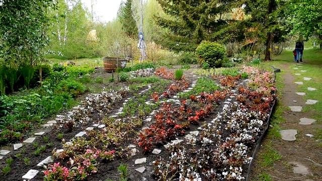 Ботанический сад Г.Соликамск