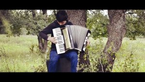 Голодные игры: Сойка-Пересмешница | Дерево Висельника | accordion cover