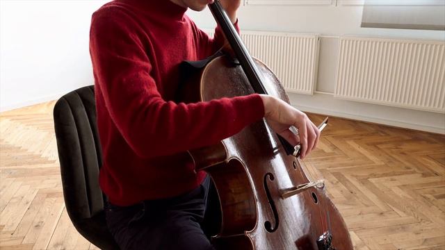 Cellist Johannes Przygodda Visiting Jargar Strings | Inspirations