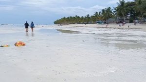 Вечерняя прогулка и сильный отлив на океане.