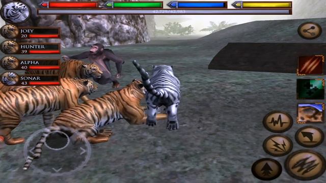 Tiger VS Lion, Elephant, Frog, Leopard, Gorilla, Chimp, Sloth, Lemur, Anaconda смотреть онлайн