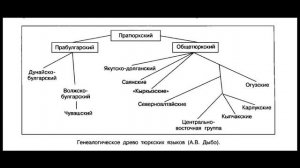 Тюркские языки (обзор)