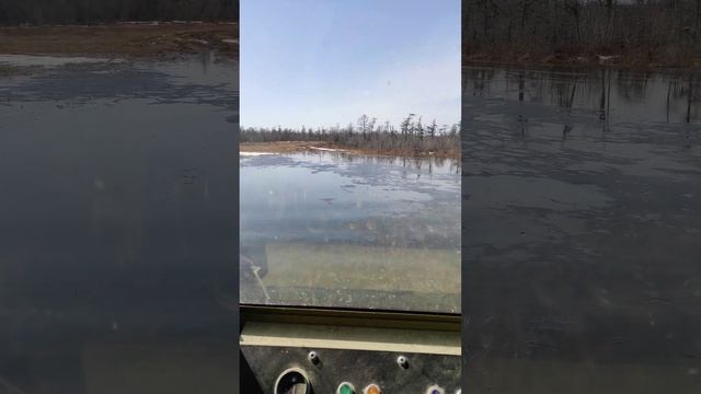 Снегоболотоход Лесник М Север везет на охоту смотреть онлайн