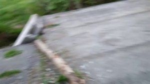 классное лето в саду