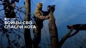 Бойцы СВО спасли кота