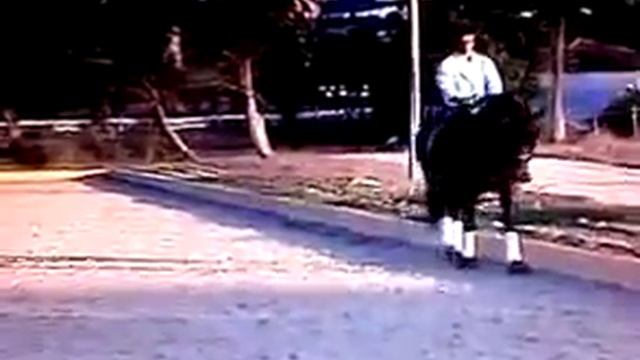 Gonçalo Carvalho смотреть онлайн