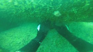 Подводная охота в Черном море. Сезон 2022