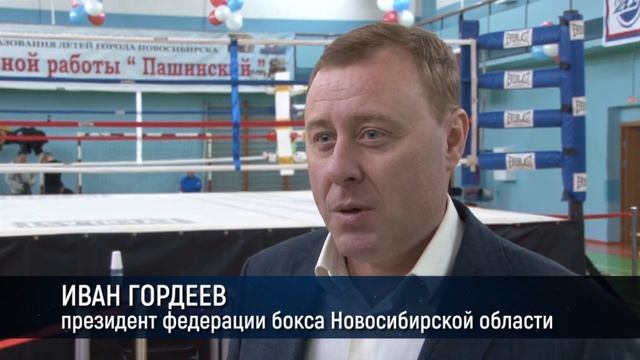 Чемпионы с нашего двора смотреть онлайн