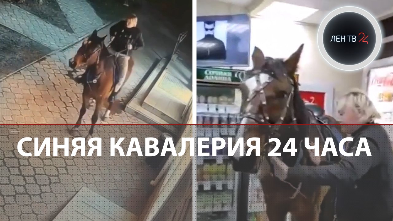 Атака синей кавалерии | Всадница въехала в ночной алкомаркет в Крыму | Пьяные походы на лошадях