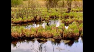 Карунеш. Странник.