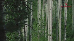 Что нужно делать что-бы спастись? Не доверяй никому! Игумен Никон Воробьев