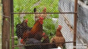 Деревня Духовское Пограничный район Приморье дальний восток