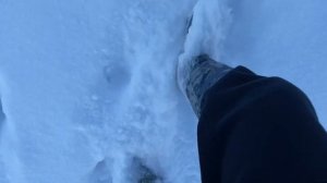 Сапоги Remington D9150 Figure