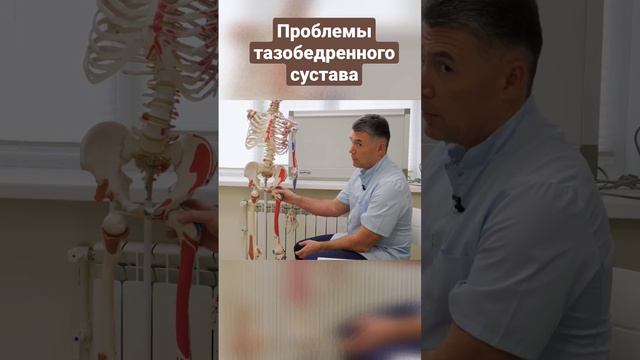 Тазобедренный сустав, болезни, травмы, лечение