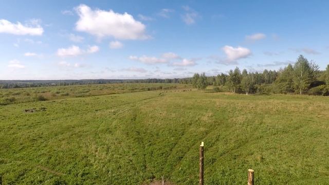 Сенокос или пастбище? Оспа овец и коз на пороге смотреть онлайн