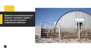 Инфраструктура откормочной площадки