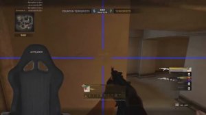 собака стример!!!! Играет в Csgo