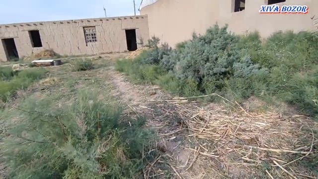 ХИВА ЖОЙ У́РНИ СОТИЛАДИ 03.07.2021 смотреть онлайн