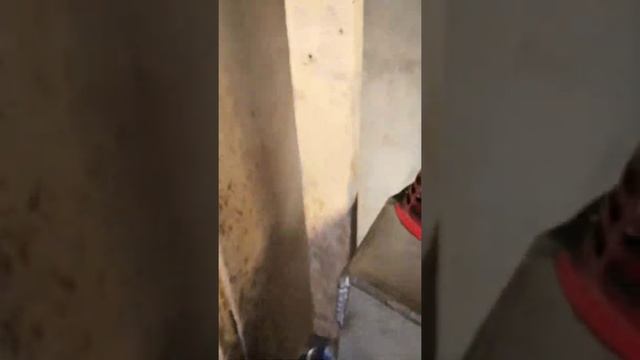 Китайский стартер на Ветерок 8 смотреть онлайн