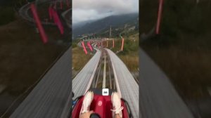 Аттракцион Родельбан Красная Поляна Роза Хутор ,что посмотреть надо?