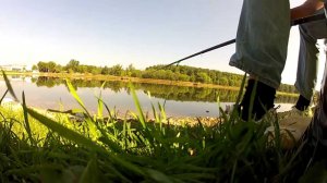 Джамгаровский пруд 2плотвичка 08 08 13